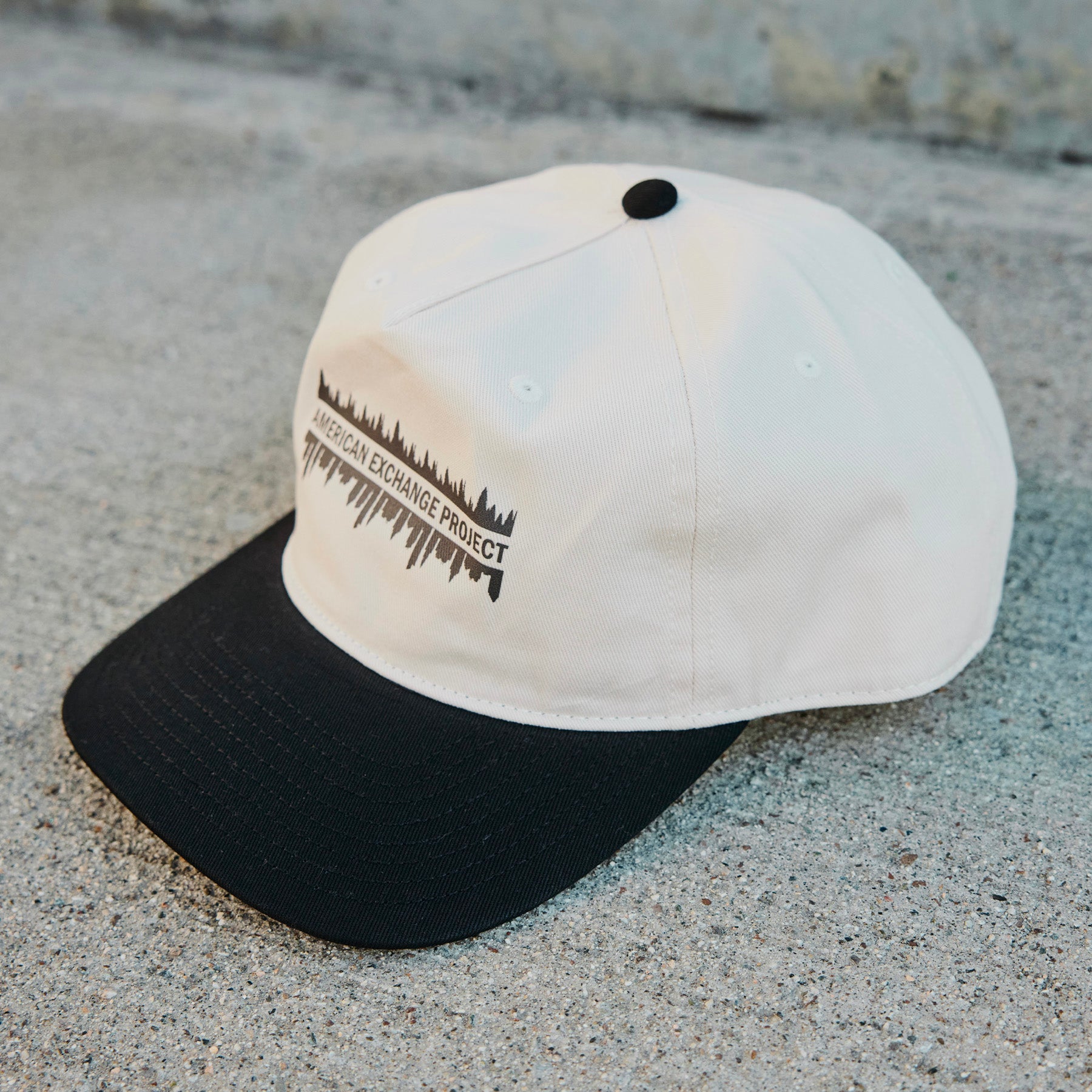 Classic Two-Tone Cap